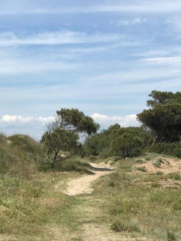 Oh! Campings - La Tamarissiere Agde Exterior photo
